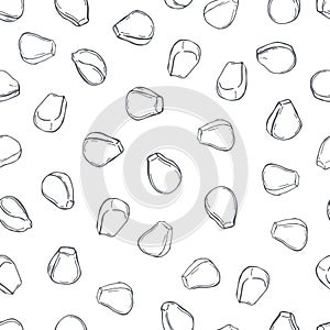 Hand drawn  corn seeds. Vector  seamless pattern