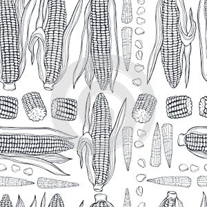 Hand drawn corn set. Vector   pattern
