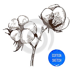 Hand drawn cotton brunch