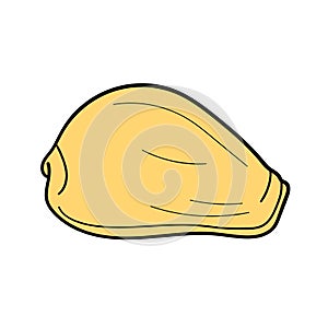 Hand-drawn cowry shell of engraved line. Design element for invitations, greeting cards, posters, banners, flyers and more.