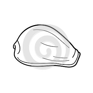 Hand-drawn cowry shell of engraved line. Design element for invitations, greeting cards, posters, banners, flyers and more. Vector