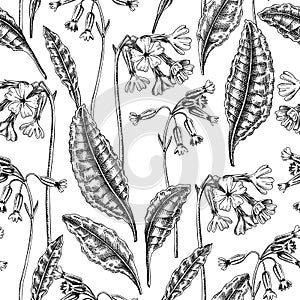 Hand-drawn cowslip and oxlip background design. Vintage woodland flowers sketches. Seamless spring pattern. Forest plant and wild