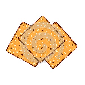 Hand drawn crackers with sesame seeds. Buscuit sketch drawing. photo