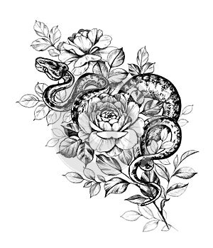 Hand Drawn Monochrome Creeping Python and Rose Flowers