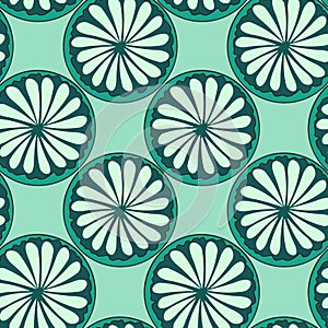 Hand drawn cut circles of citrus fruits on turquoise background