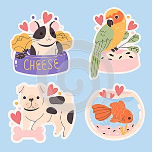 hand drawn cute animal collection