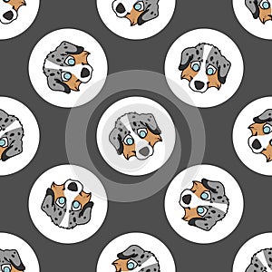 Hand drawn cute Australian Shepherd dog face breed in polka dot seamless vector pattern. Purebread pedigree puppy