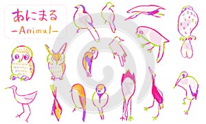 Hand drawn cute bird illustrations