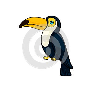 Hand drawn cute cartoon toucan seating, colorful sketch style vector illustration isolated on white background. Hand drawing tucan