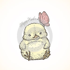 Hand Drawn Cute Colorful Easter Chick Vector Illustration. Little Chicken with Butterfly Abstract Sketch. Happy Spring