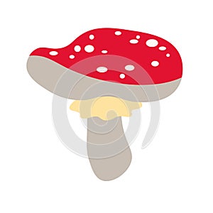 Hand drawn cute contemporary illustration amanita mushroom. Flat vector fly-agaric element in simple colored doodle