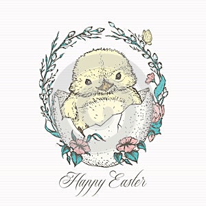 Hand Drawn Cute Easter Chick Vector Illustration. Little Chicken in an Egg with Willow Twigs and Flowers and Butterfly