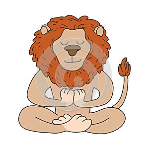 Big lion sitting and meditating in lotus pose with eyes closed