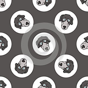 Hand drawn cute Greyhound dog face breed in polka dot seamless vector pattern. Purebread pedigree puppy domestic on photo