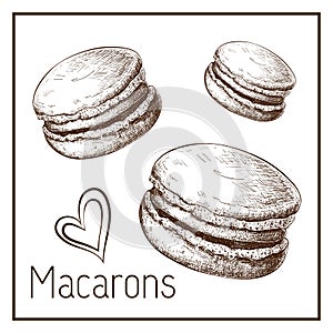 Hand drawn cute macarons isolated on white. vector Sketch of macaroons in vintage style. engraved pastry illustration