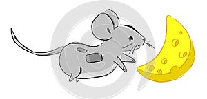 Hand drawn cute Mouse with cheese, cartoon character childish illustration. Rat Sketch. Vector
