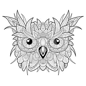 Hand drawn cute owl portrait for adult coloring