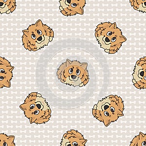 Hand drawn cute pomeranian breed dog face seamless vector pattern. Purebred pedigree domestic dog on paw background. Dog