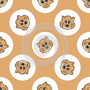 Hand drawn cute Pomeranian dog face breed in polka dot seamless vector pattern. Purebread pedigree puppy domestic on