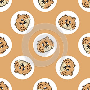 Hand drawn cute Pomeranian dog face breed in polka dot seamless vector pattern. Purebread pedigree puppy domestic on