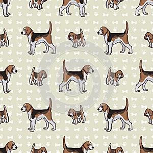 Hand drawn cute puppy and foxhound hunting dog seamless vector pattern. Purebred pedigree domestic dog on paw background. Dog