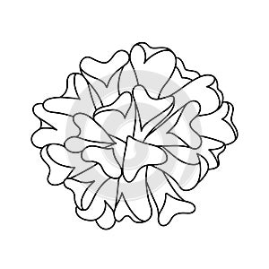 Hand drawn cute succulent in style doodle. graphic sketch home flower Cubic frost. Vector illustration, isolated