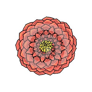 Hand drawn dahlia flower. floral design element
