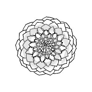 Hand drawn dahlia flower. floral design element