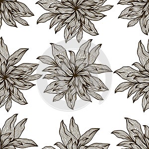 Hand Drawn Dahlia Flower Pattern