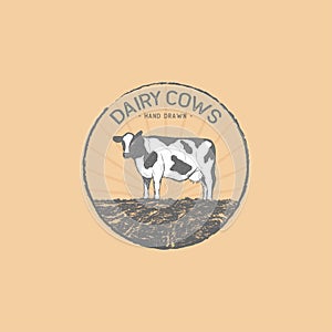 hand drawn dairy cows