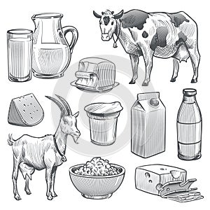 Hand drawn dairy products. Farm cow and goat milk healthy fresh product. Butter and cottage cheese, yogurt vintage