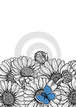 Hand drawn daisy flowers card