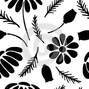 Hand drawn daisy seamless pattern on clean white background