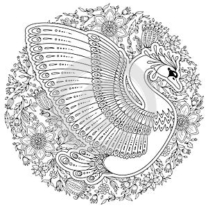 Hand drawn decorated swan. Image for adult coloring books, page