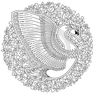 Hand drawn decorated swan. Image for adult coloring books, page