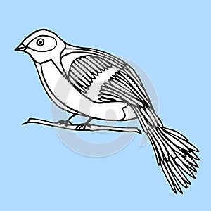 Hand drawn decorative bird isolated on light blue. A bird sits on a branch. Vector doodle illustration.