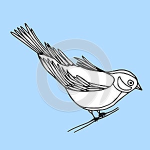 Hand drawn decorative bird isolated on light blue. A bird sits on a branch. Vector doodle illustration.