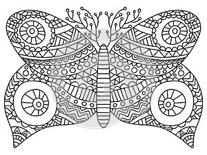 Hand-drawn decorative butterfly colouring book page for adults vector illustration