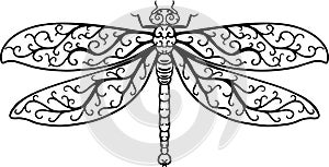 Hand drawn decorative dragonfly on white background