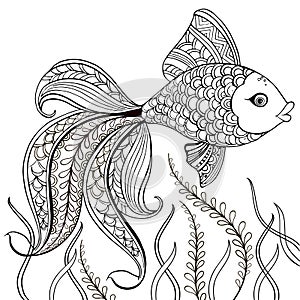Hand drawn decorative fish for for the anti stress coloring page. Hand drawn black decorative fish isolated on white background