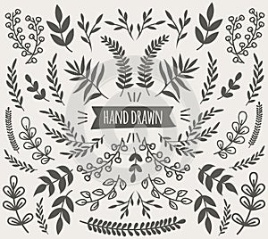 Hand Drawn Decorative Floral Elements Collection