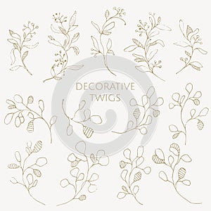 Hand-drawn decorative twigs.