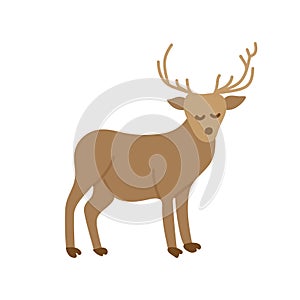 Hand drawn deer with horns vector illustration isolated on white background