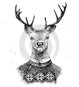 Hand drawn deer in kneated sweater