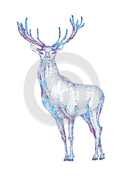 Hand drawn deer vector illustration animal isolated on white background for hunting products billboards website