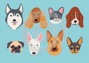 Hand drawn dog breeds set. Funny vector illustration.