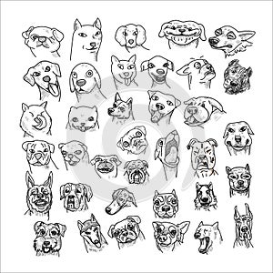 Hand drawn of dogs head set isolated on white background
