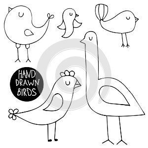 Hand drawn doodle birds set. Abstract vector collection.