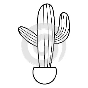 Hand drawn doodle botanical cactus plant succulent clipart illustration