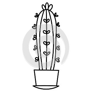 Hand drawn doodle botanical cactus plant succulent clipart illustration